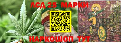 гашик Гай
