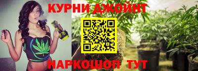 гашик Гай